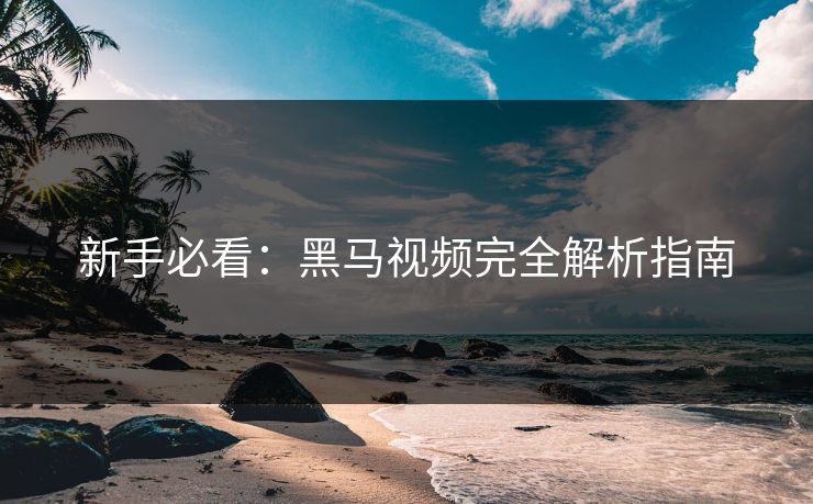 新手必看：黑马视频完全解析指南