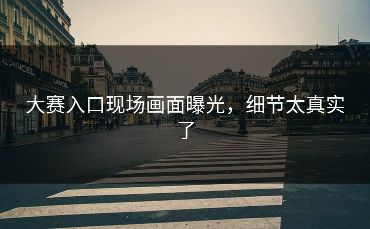 大赛入口现场画面曝光，细节太真实了
