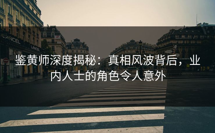 鉴黄师深度揭秘：真相风波背后，业内人士的角色令人意外
