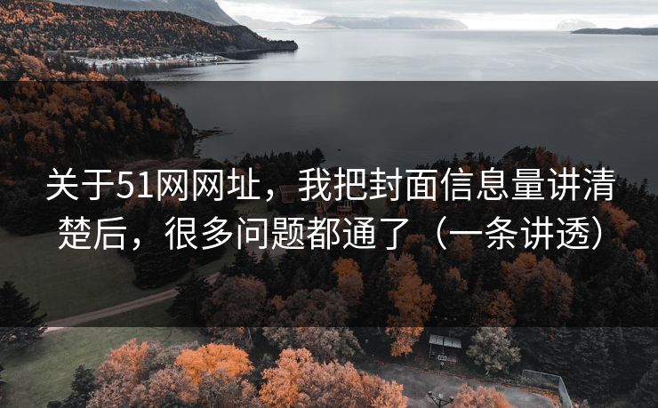 关于51网网址，我把封面信息量讲清楚后，很多问题都通了（一条讲透）